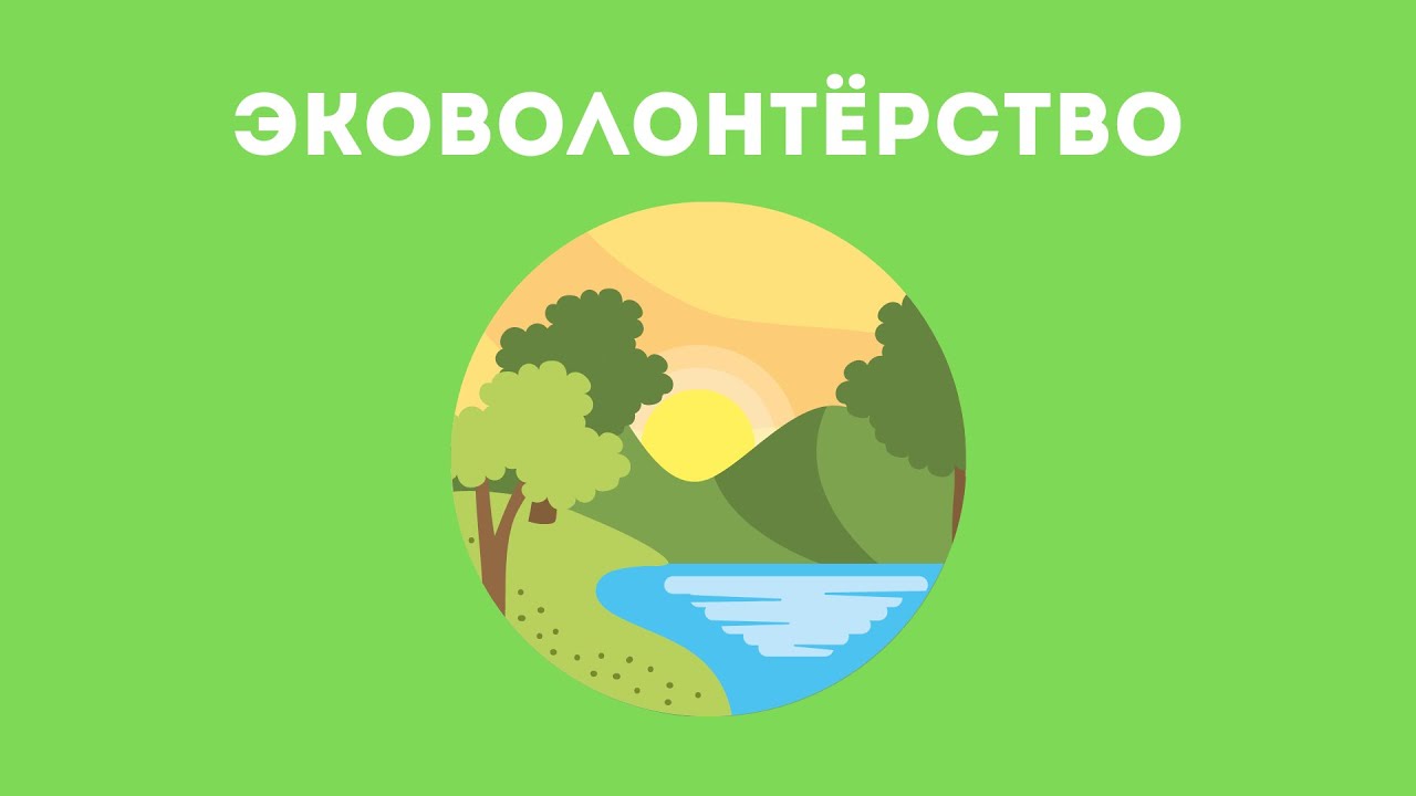 Эко проект волонтеры